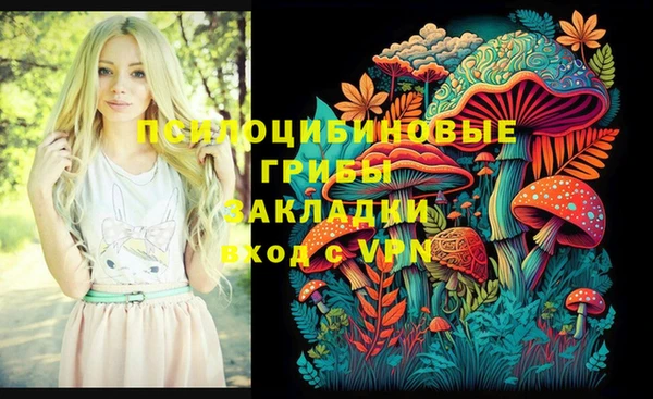 кокс Белокуриха