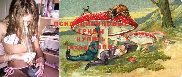 кокс Белокуриха