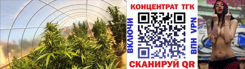 ТГК концентрат  Купить где  Нижняя Тура 