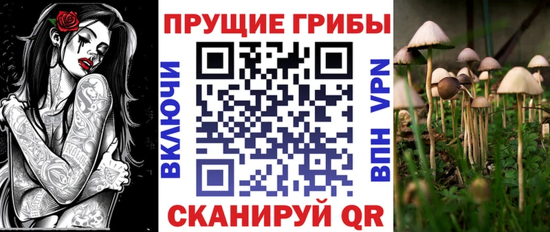 Галлюциногенные грибы мухоморы  Купить где  Нижняя Тура 